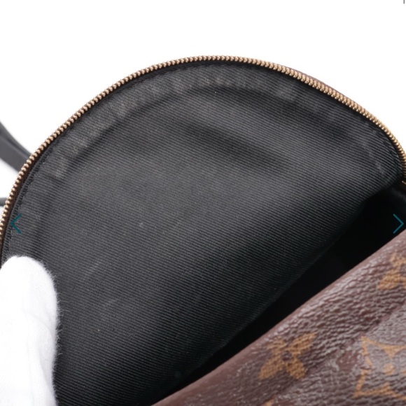 Louis Vuitton Palm Spring Mini Backpack - Picture 3 of 15